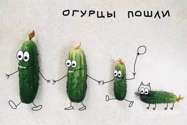 2d70e9e64c1e02314acbc5.webp