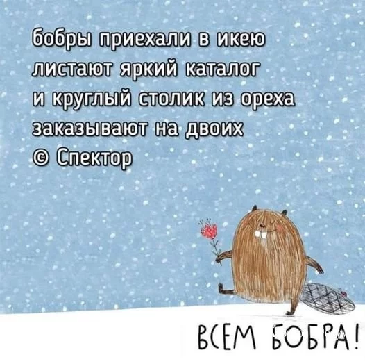 2d7eb8063ec77c54c54.webp