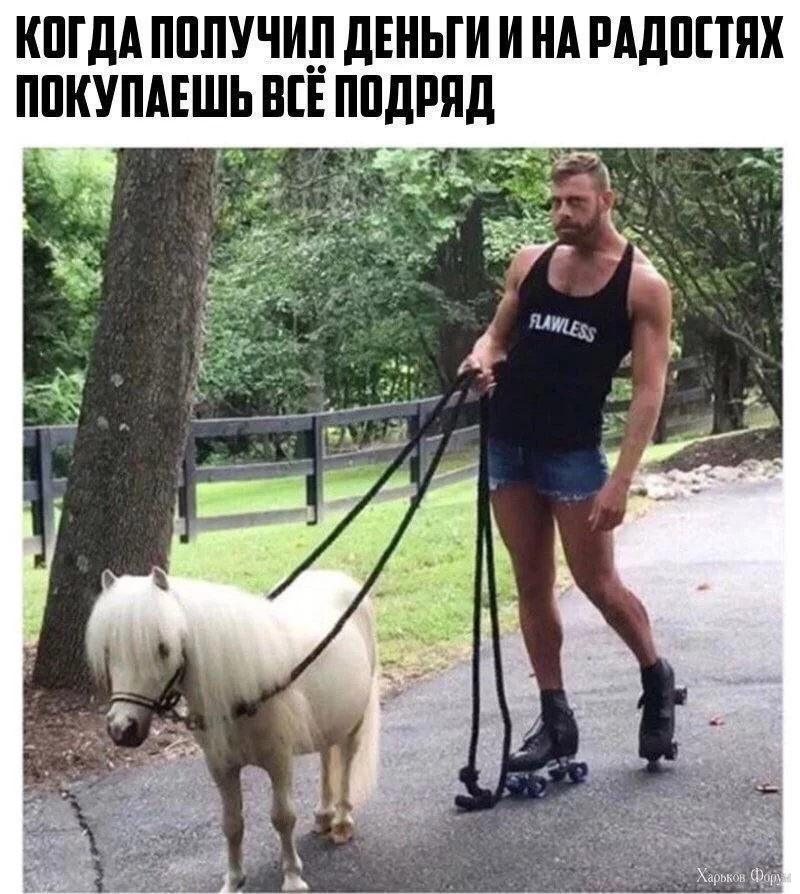 2D8GjquhFu6TttVxfo9YzkXwXqbzZm8f6V.webp