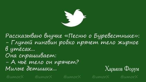 2d9a3e4db685868b.jpg