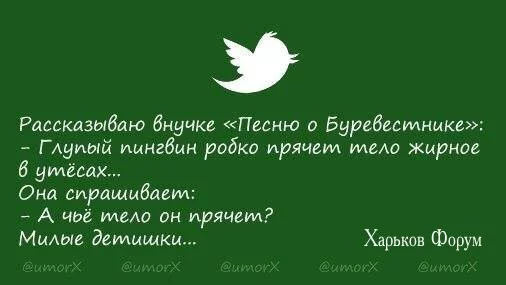 2d9a3e4db685868b.webp