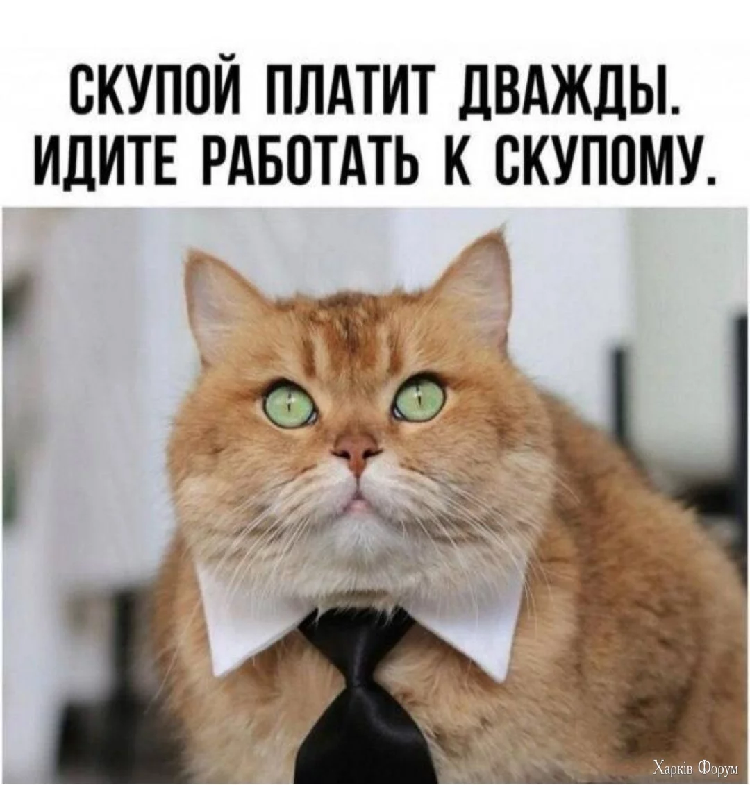 скупой