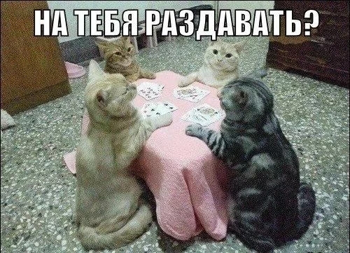 2dadfc.webp