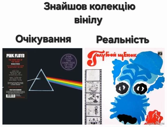 2Db6OurAWRjV9Quly9n9LGPFObRuS4sVnT.webp