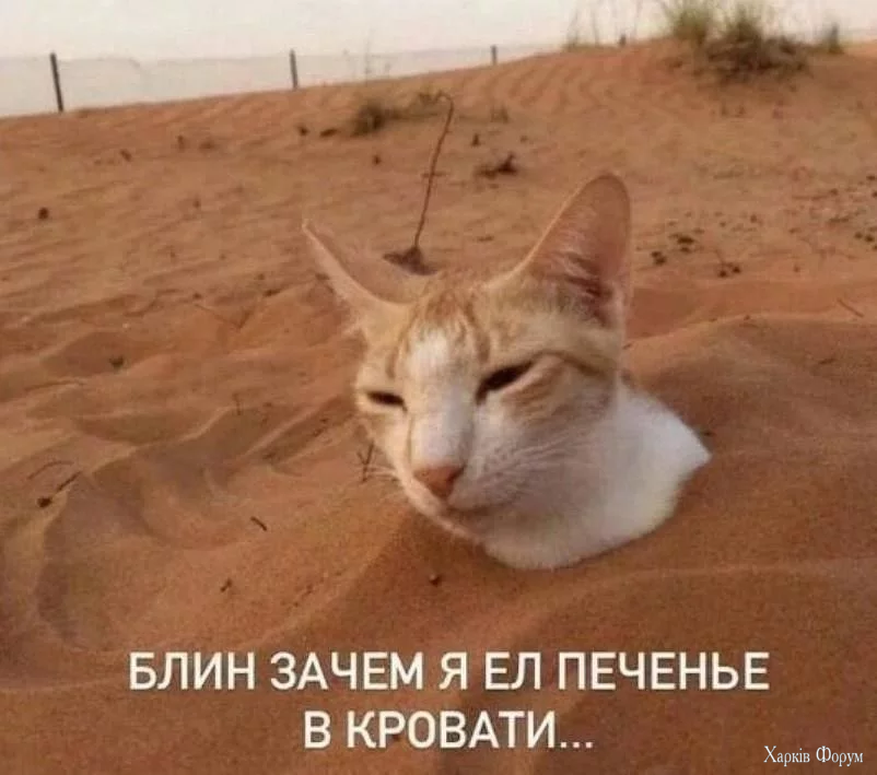 %)