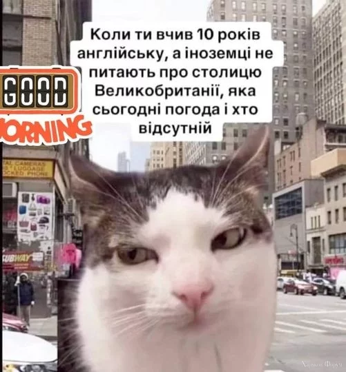 2DbnJbbwCLMEVHVQ0Kh0BEG9yqAW74nz6F.webp