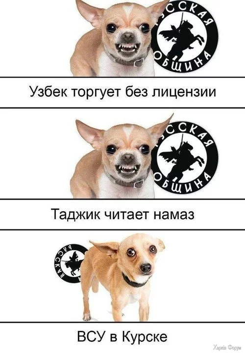 2DCUhl0blgJIkUIPEofjnhktPekQNXlItw.webp