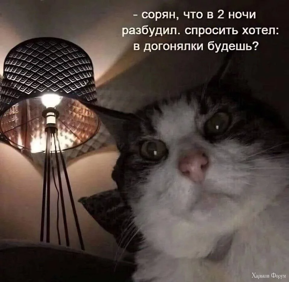 2DCurv5BO0fHxJbmKcUqpW1u0RI8BkyAuI.webp