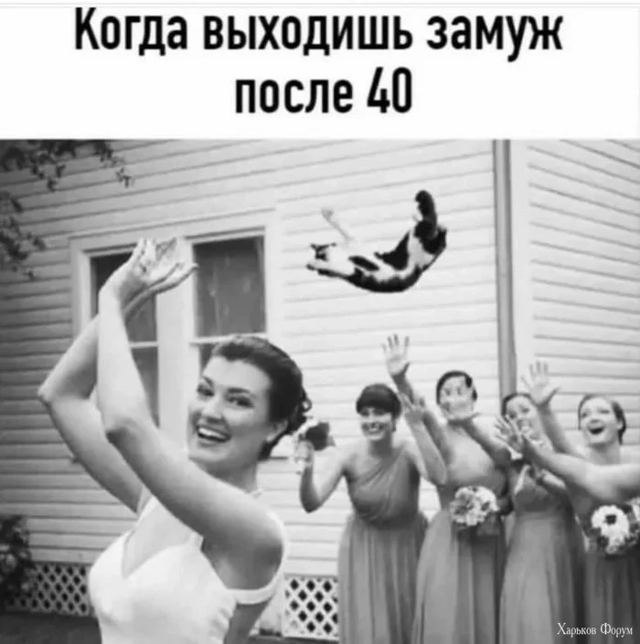 2DCxOGxYb6SBvBbcvhnMObimVZeHf6MKuk.webp