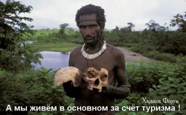 2dd0916cbc205c178.webp
