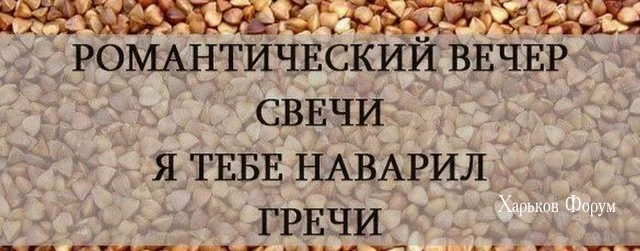 2dd5b5575a176742f.webp