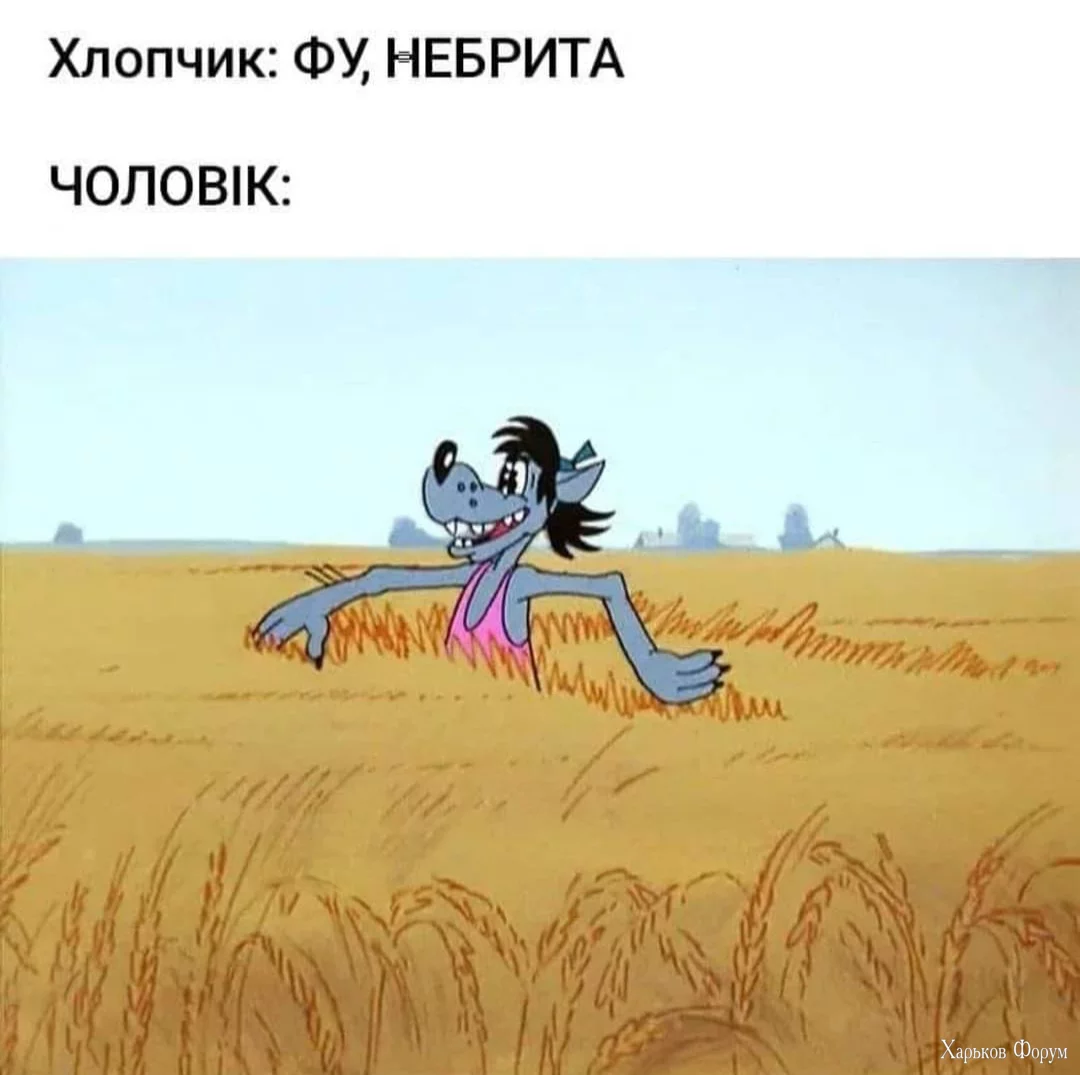 2DdJr3j1Ivu9CG4xIgiqeZmLo37Q78FlYx.webp