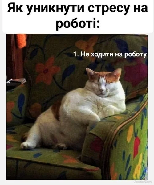 2DDsAHErV0YMSoQyODWYrcnttFGh7tb3JN.webp