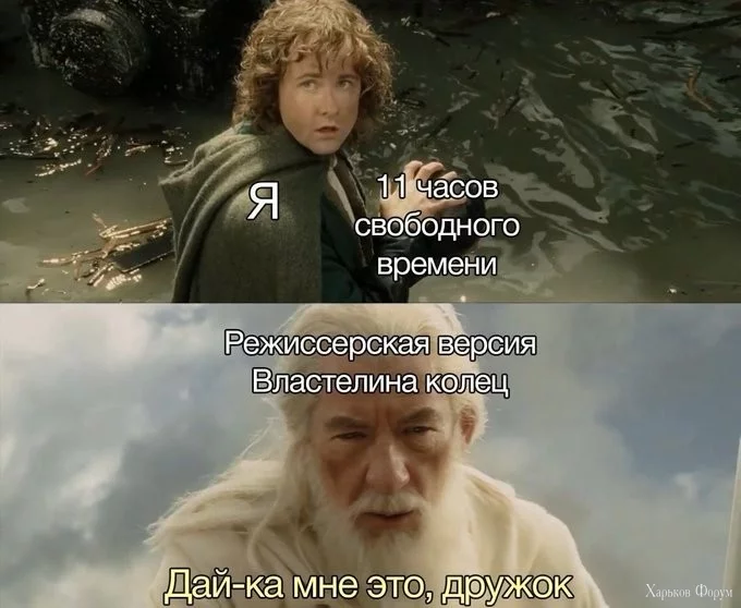 2DDZwzqTZpZSlwL6YTOInlFEHp81F4KiMK.webp