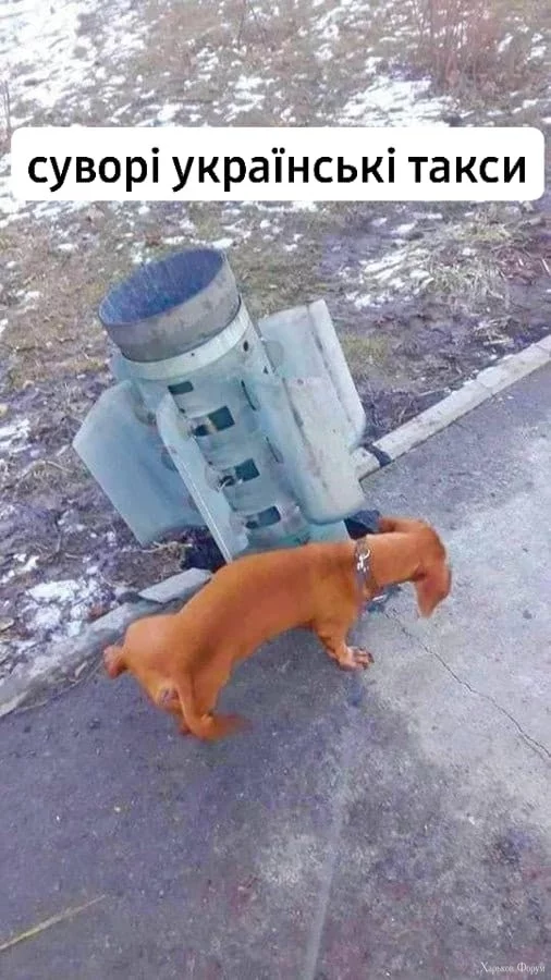 2DE4fprte4ssInCbQt7630PdgvB0ZRdfK8.webp