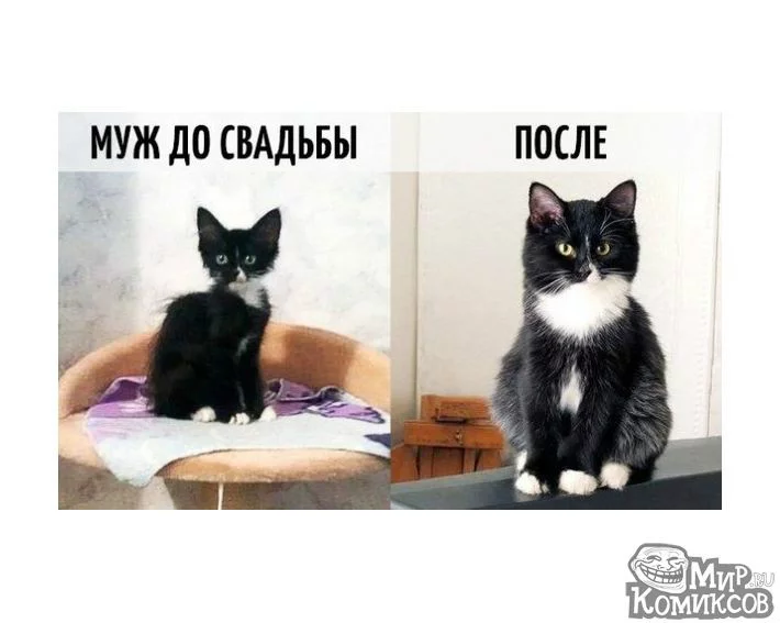 2defdc.webp