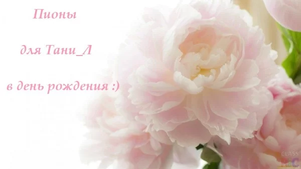 2dejda.webp