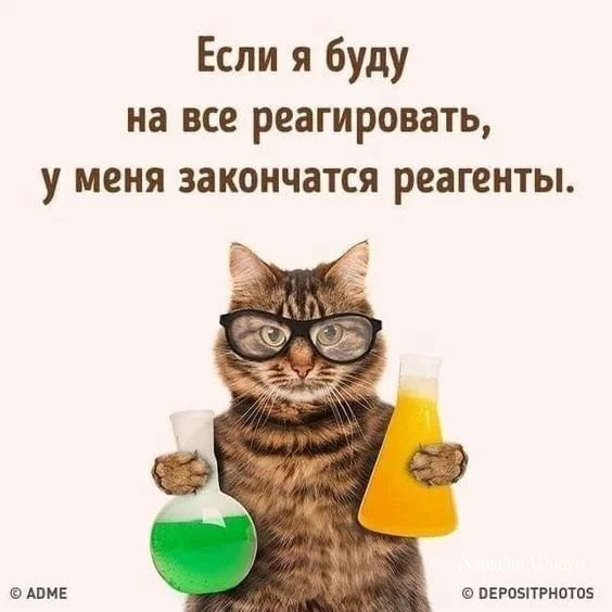 2df5d42ac32a7d9ce3.webp