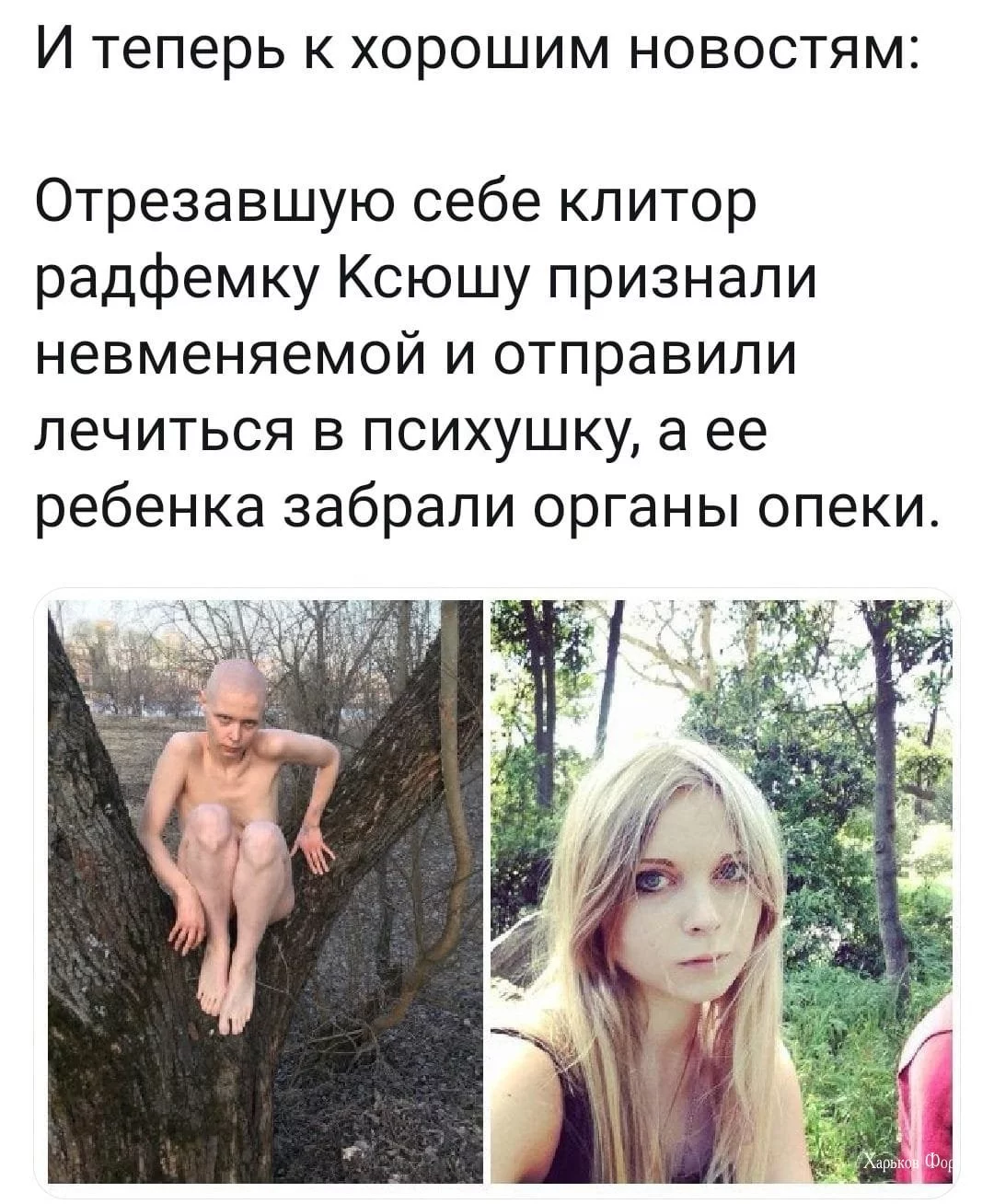 2df721fdb3d6d0eb3ef16298.webp