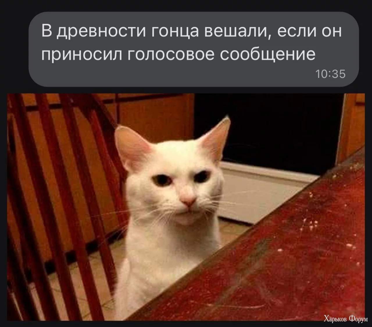 2DF8w3ItRrNoBgzpvJcYCAaruo1GooAGHo.webp
