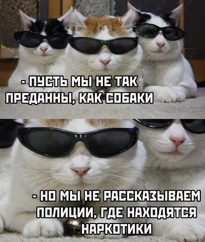 2DFy3FiO35E1BjE4CTJIbiUN83nmGHQT1i.webp