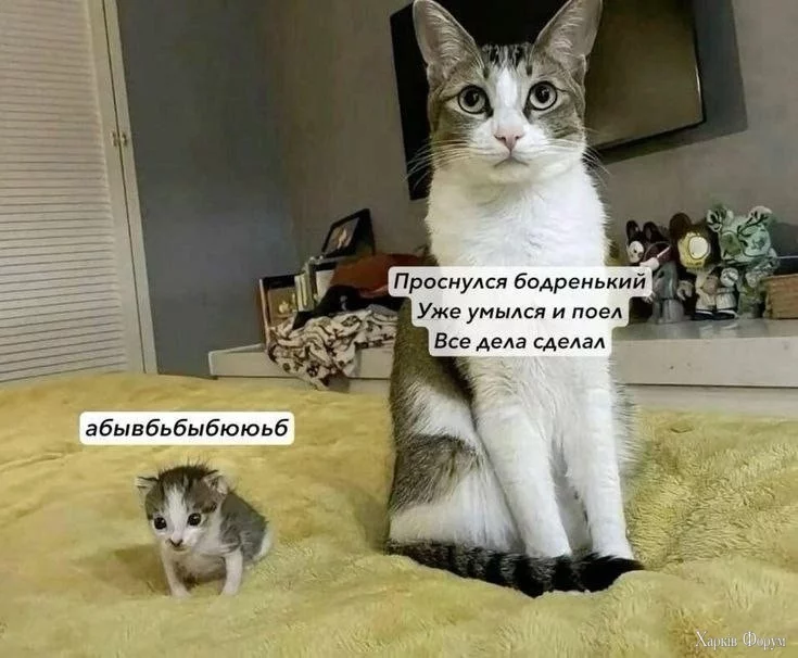 проснулся