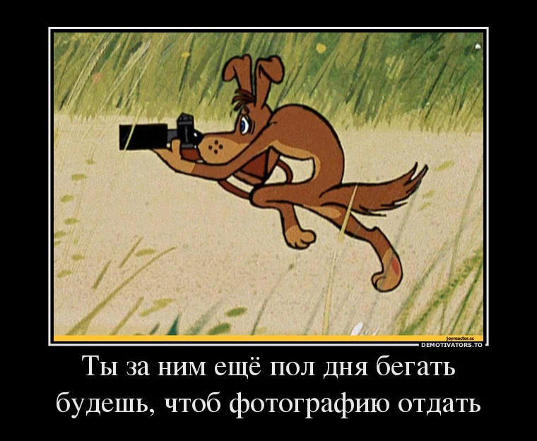 2dhbca.webp