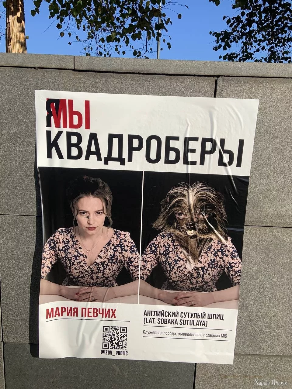 Кадроберы Дудь Яшин Певчих Волков