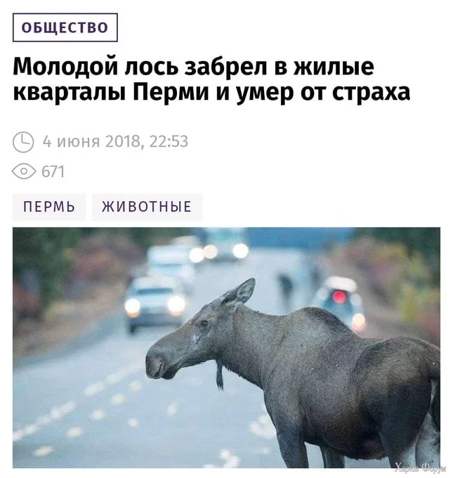 Пермь