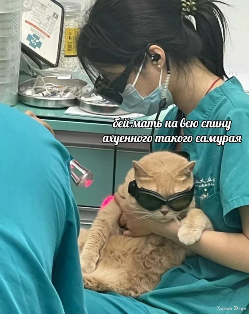 2DjajD1Fsj6doA96jLQX5myAKWOka0W7tM.webp
