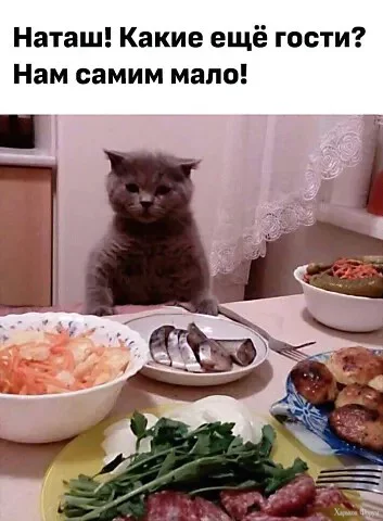 2Djon0ALzUSHKeG4TMqYCns0N3jXuYIYra.webp