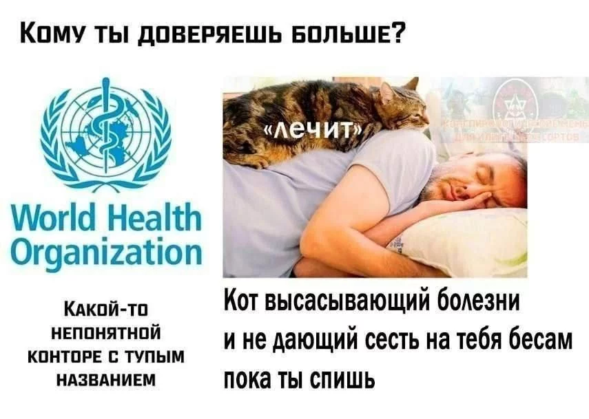 2DJSbxAjvygm8nkQfd9A6dlrxr6qX4rHIz.webp