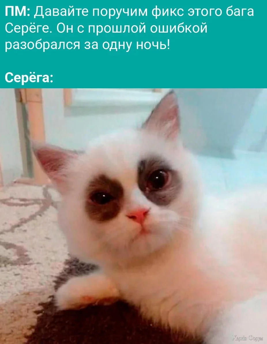 фикс