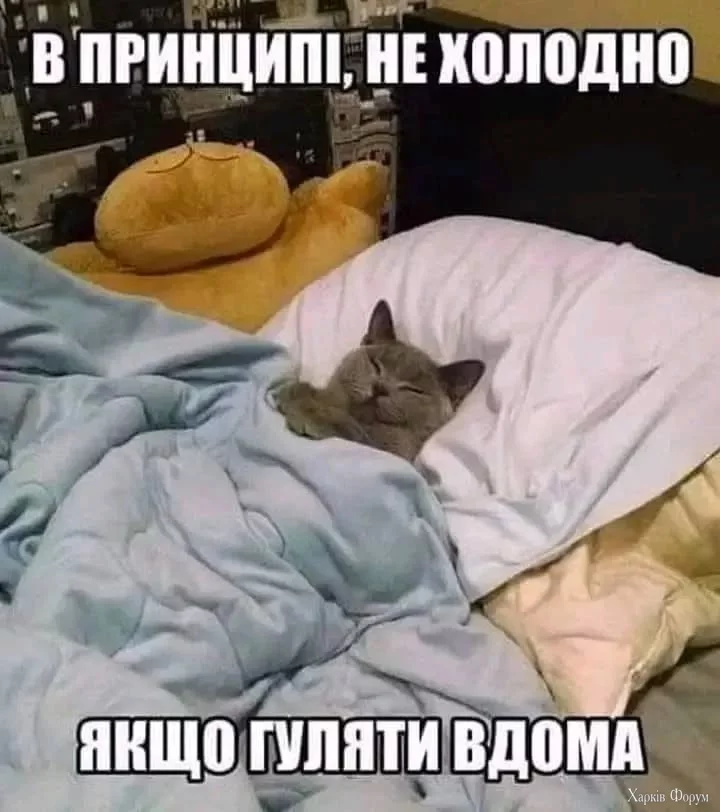2DK0MI5W1zqRpqQQFnNZhAZisx1L5cziMj.webp