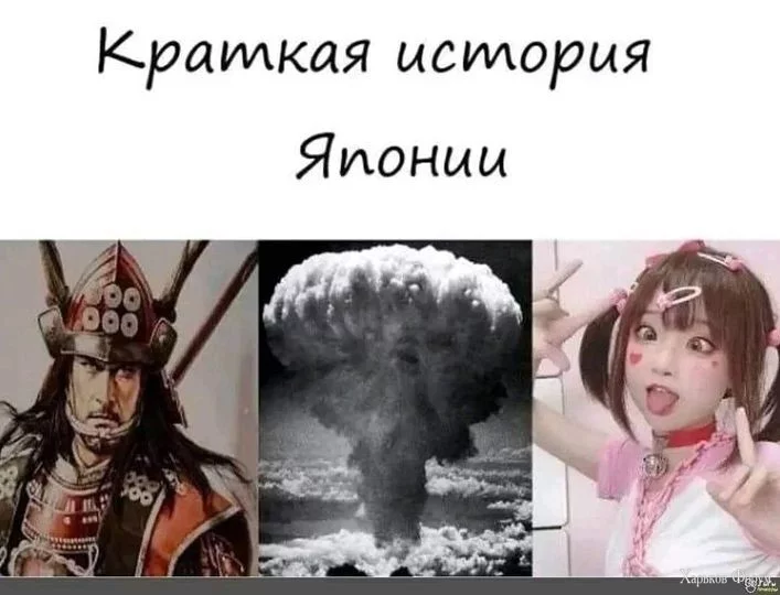 2DKaOj6yQZfEveVJSaYNZ0crsCENRJnarL.webp