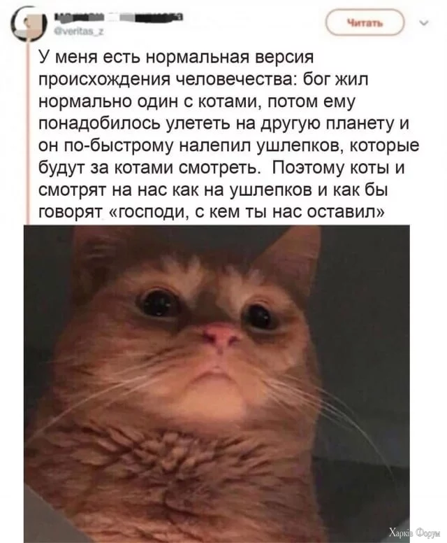 2DkvcGJvSdXX5ZlsNT6Slc9q7arWYKij86.webp