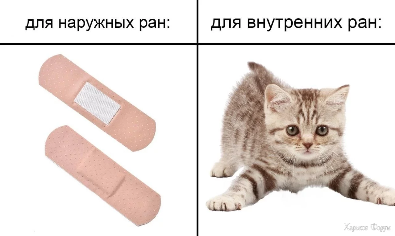 2DohZlmmavTASNKcqXGgGTGWe3XnTZOhtG.webp