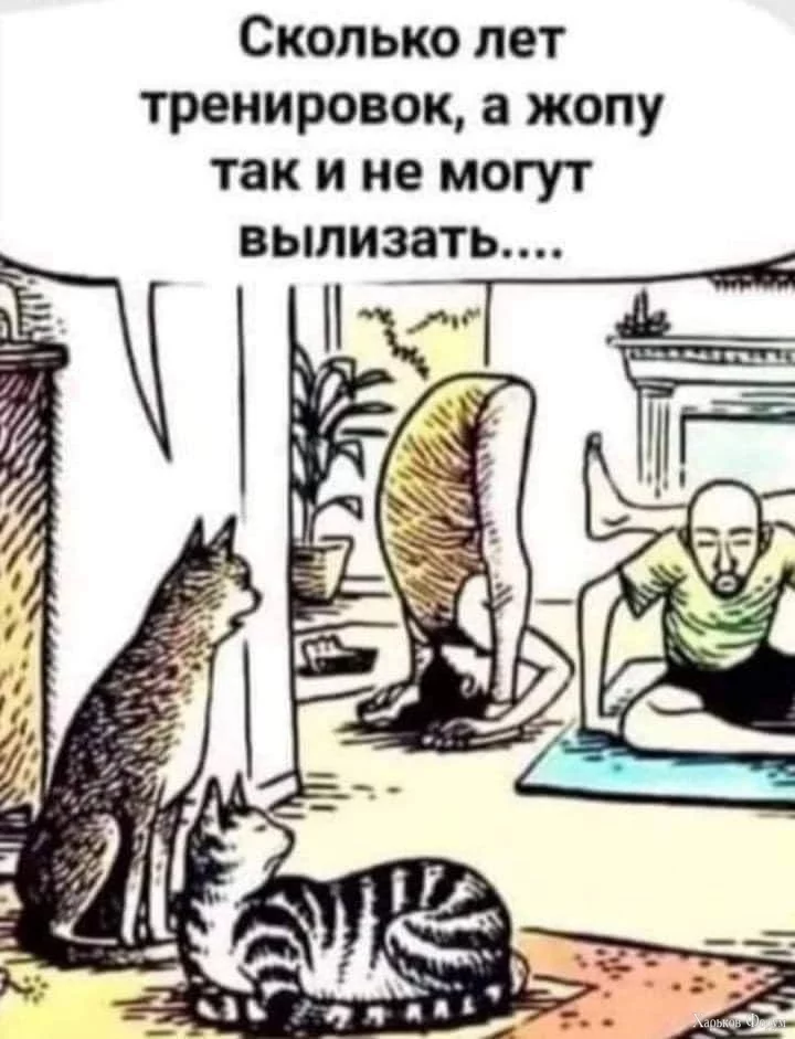 2DOodfidYyL71t51Qj24cDWrWL2lwAkXqt.webp