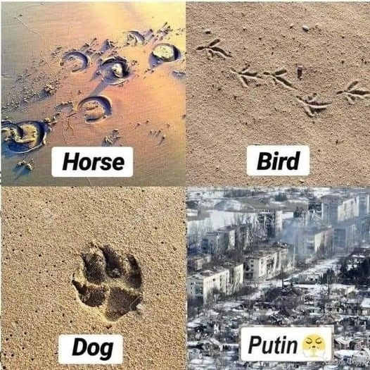 2DPYMI5trySfigduymiLGbFzzXBV8vbIWz.jpg