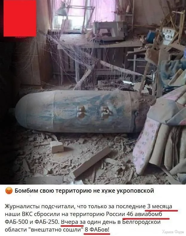 2DQ8Y1L9CiUj7078h241XZBvLFlHMqiiub.webp