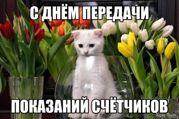 Счетчиков