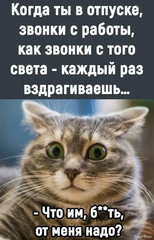 2DTYp2CZBk5AJCmIWLjqZWLtKo5hxAWMij.webp