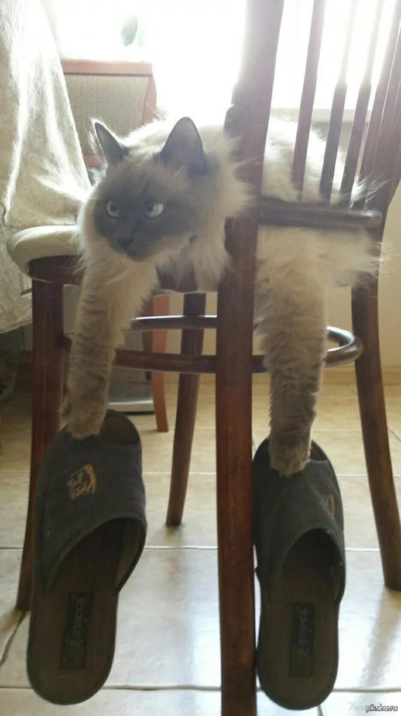 2DUKLYAAexMiFR1yOhfDwfQM3EqIU6NiGm.jpg