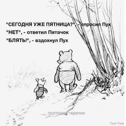 2DuMVgG8xoihvbEFHcxbzg2CPPDevr7dz8.webp