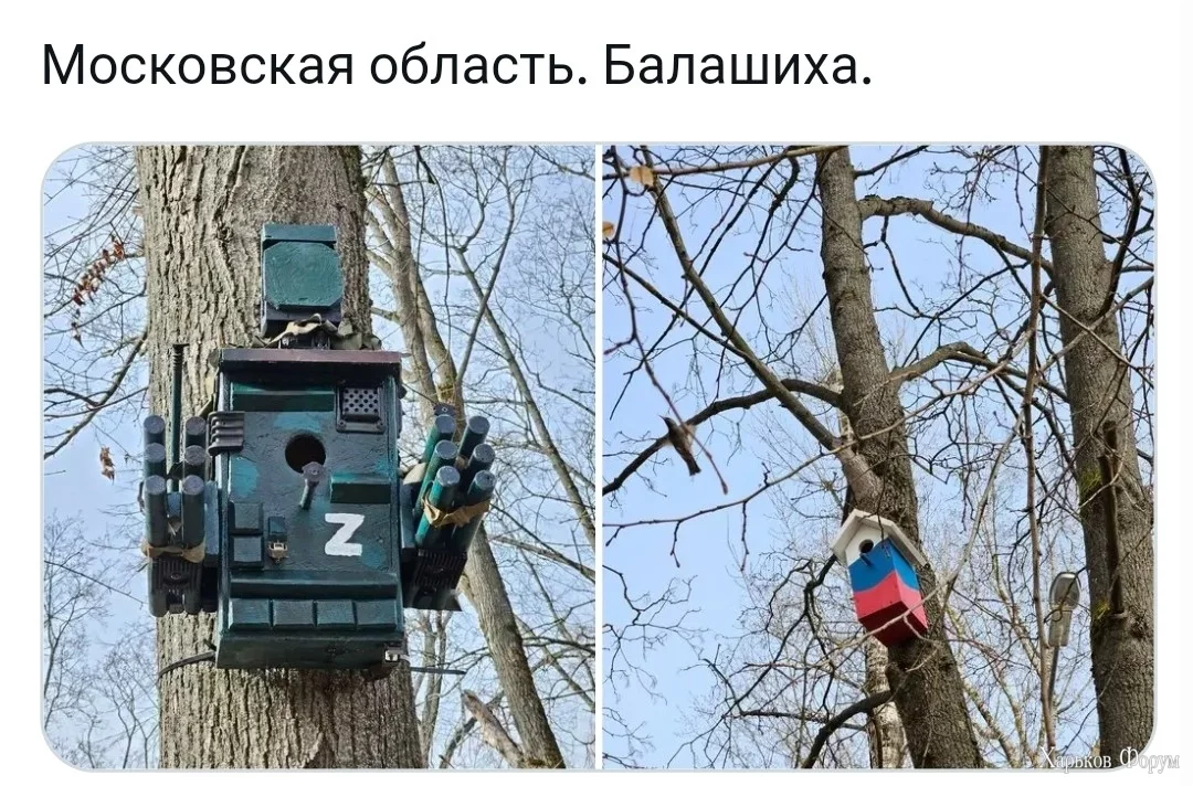 2DwvLV1g8xSbqqfiAD1Rb5tCAZ6MBcwbov.jpg