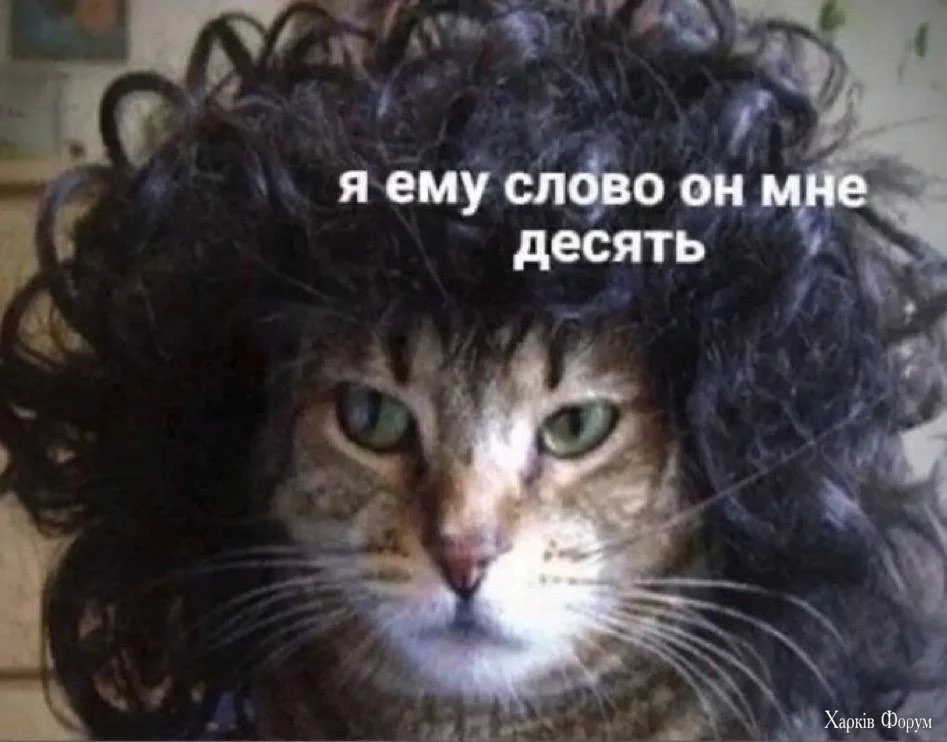 2DX4qyw3eQJuvkgouihtN1bkQfE5C7Jt8O.webp