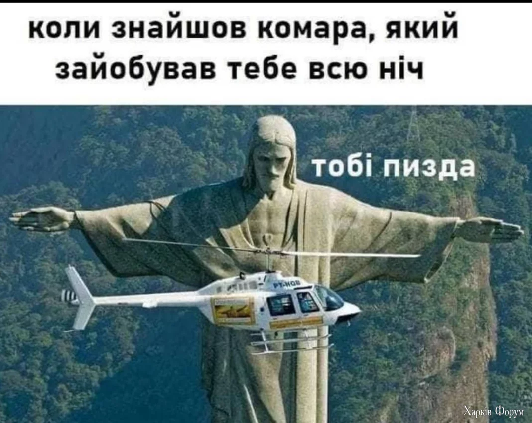 2DxdNql3PKqYKHgKiT1VBTPdaJE326AWyw.webp