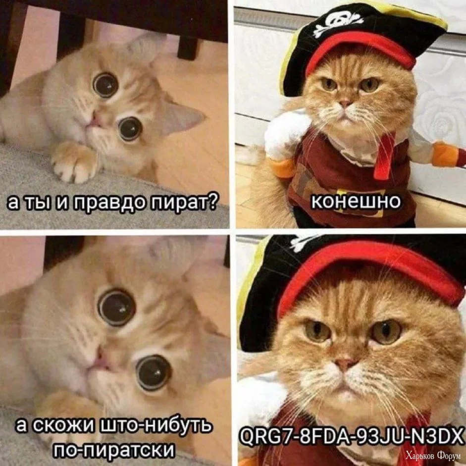 2DZCQ7hvwdom0nVgCTIqzwOJqYOfcl0Fup.webp