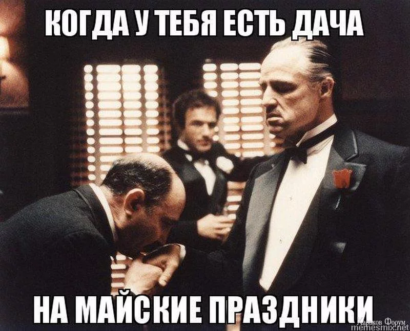 2DZWVv6cqVBX5Isb72SgaEQ0iORa8YE8qB.webp