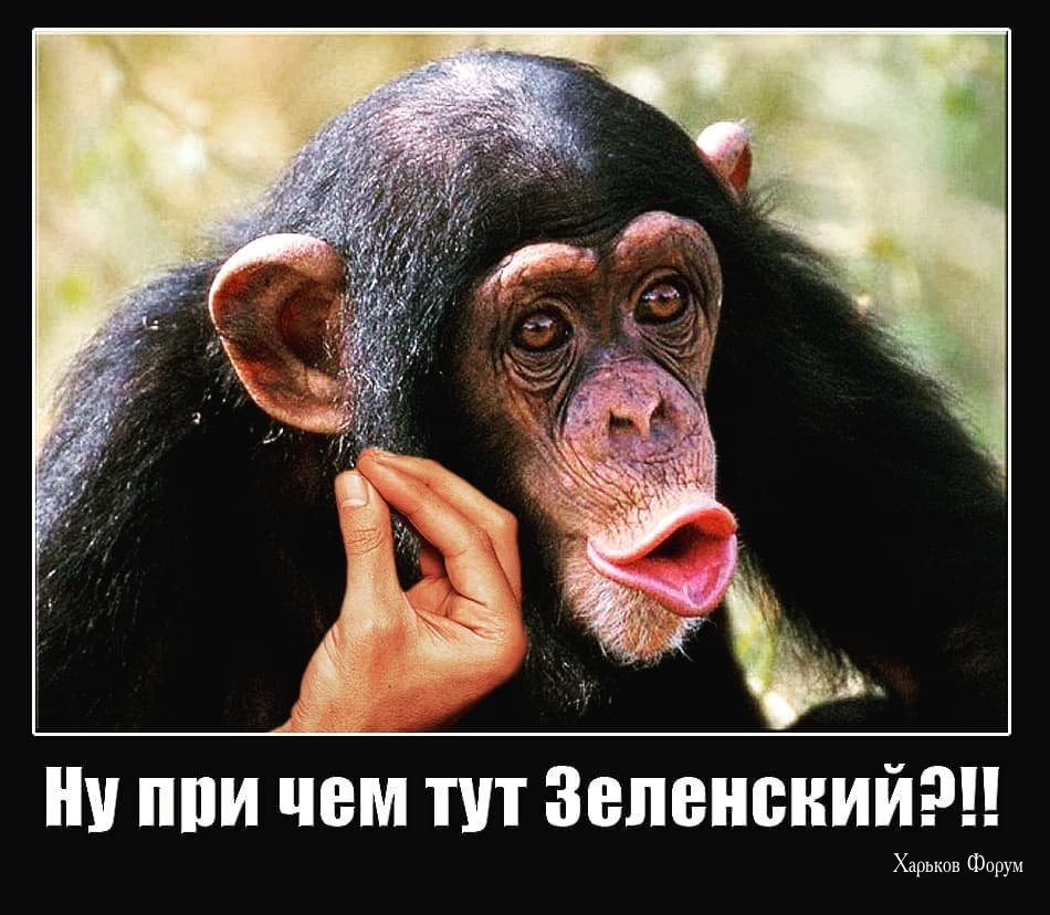 2e0f108fde6c94640f0.jpg
